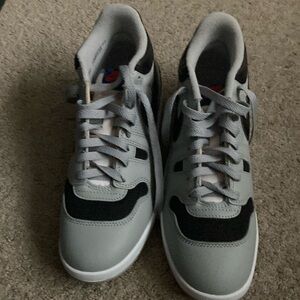 This are nike Dunks